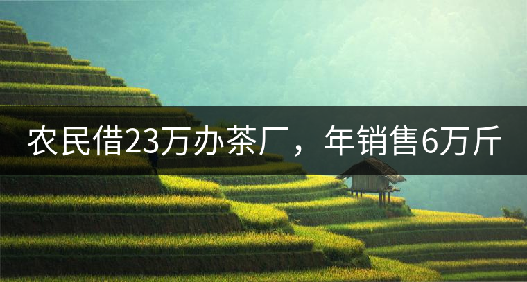農(nóng)民借23萬(wàn)辦茶廠，年銷(xiāo)售6萬(wàn)斤，每天休息僅20分鐘!農(nóng)民借23萬(wàn)辦茶廠，年銷(xiāo)售6萬(wàn)斤，每天休息僅20分鐘！