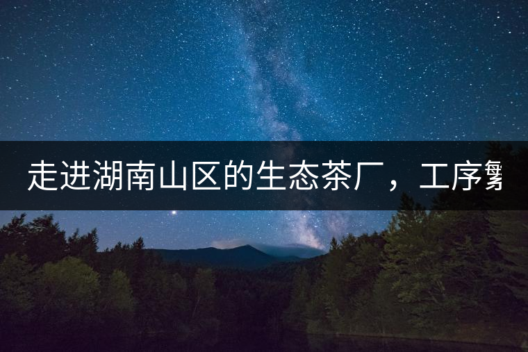 走進(jìn)湖南山區(qū)的生態(tài)茶廠，工序繁雜精細(xì)，538塊錢1斤真值走進(jìn)湖南山區(qū)的生態(tài)茶廠，工序繁雜精細(xì)，538塊錢1斤真值