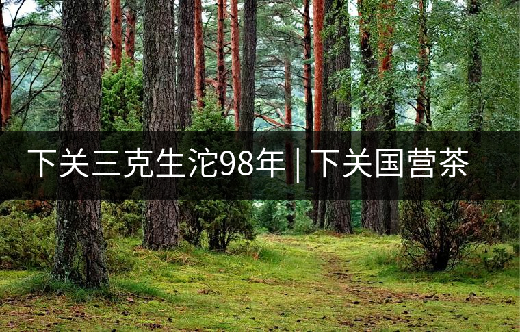 下關(guān)三克生沱98年 | 下關(guān)國營茶廠出口料，干倉儲(chǔ)存，...下關(guān)三克生沱98年 | 下關(guān)國營茶廠出口料，干倉儲(chǔ)存，19年老茶！