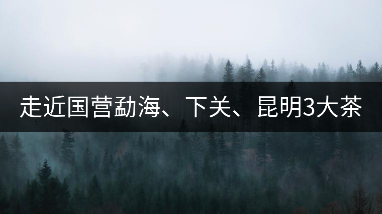 走近國營勐海、下關、昆明3大茶廠，傳世代表作的發(fā)展詳...走近國營勐海、下關、昆明3大茶廠，傳世代表作的發(fā)展詳解