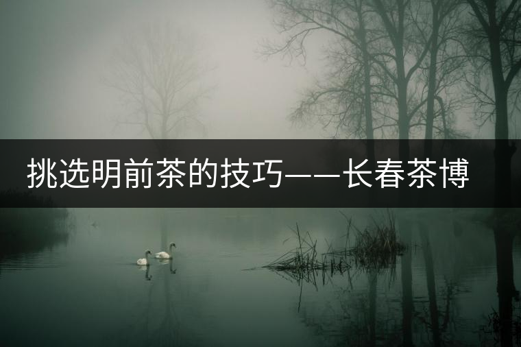 挑選明前茶的技巧——長(zhǎng)春茶博會(huì)