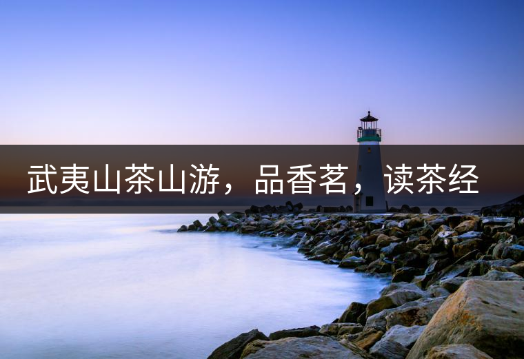 武夷山茶山游，品香茗，讀茶經(jīng)，賞茶景，學(xué)茶歷史!武夷山茶山游，品香茗，讀茶經(jīng)，賞茶景，學(xué)茶歷史！