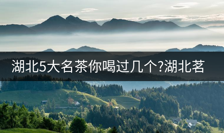 湖北5大名茶你喝過幾個?湖北茗茶的歷史故事?湖北茶哪...湖北5大名茶你喝過幾個？湖北茗茶的歷史故事？湖北茶哪個產(chǎn)地好