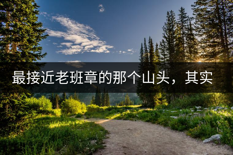 最接近老班章的那個山頭，其實叫做曼新竜