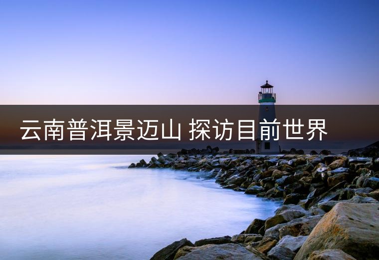云南普洱景邁山 探訪目前世界上面積最大、年代最久遠(yuǎn)的古茶園