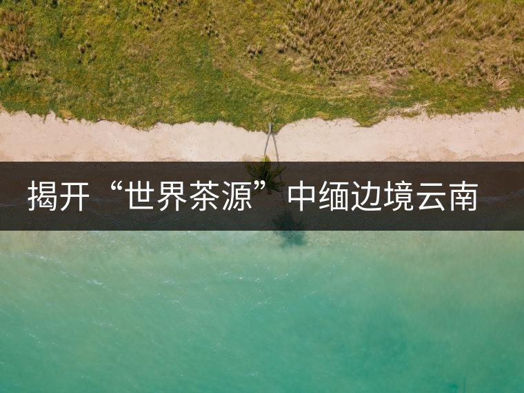 揭開(kāi)“世界茶源”中緬邊境云南普洱景邁山的神秘面紗揭開(kāi)“世界茶源”中緬邊境云南普洱景邁山的神秘面紗