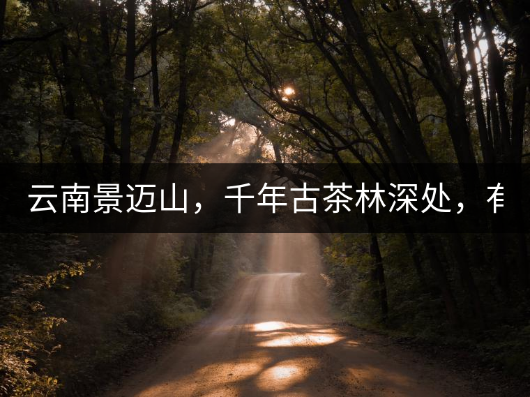 云南景邁山，千年古茶林深處，有一座世外桃源般的糯...云南景邁山，千年古茶林深處，有一座世外桃源般的糯干古寨