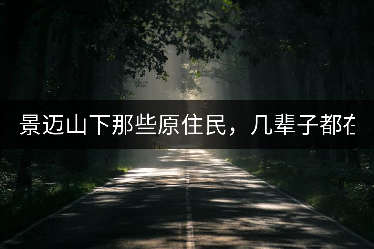 景邁山下那些原住民，幾輩子都在采茶、制茶，才有最...景邁山下那些原住民，幾輩子都在采茶、制茶，才有最好喝的普洱