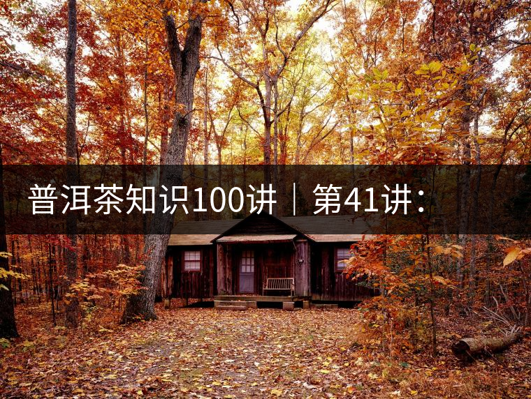 普洱茶知識100講｜第41講：孤獨(dú)的邦崴過渡型古茶王