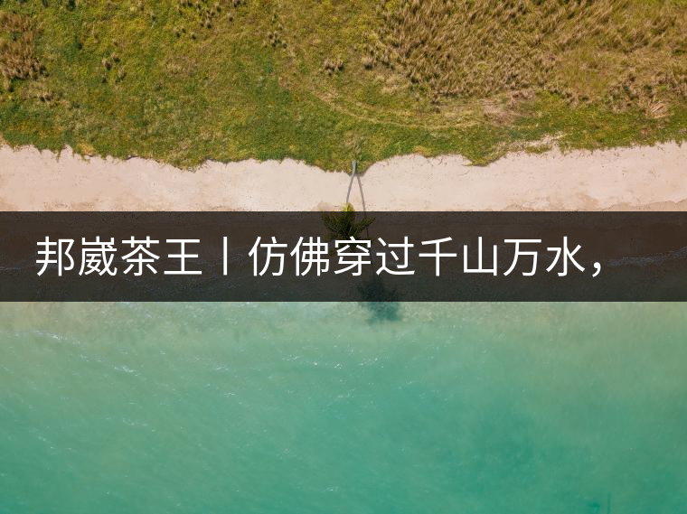 邦崴茶王丨仿佛穿過(guò)千山萬(wàn)水，就是為了它而來(lái)邦崴茶王丨仿佛穿過(guò)千山萬(wàn)水，就是為了它而來(lái)