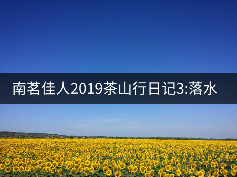 南茗佳人2019茶山行日記3:落水洞--200多年建村歷史，...南茗佳人2019茶山行日記3：落水洞——200多年建村歷史，靈動清越