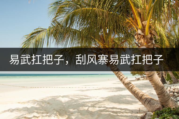 易武扛把子，刮風(fēng)寨易武扛把子，刮風(fēng)寨