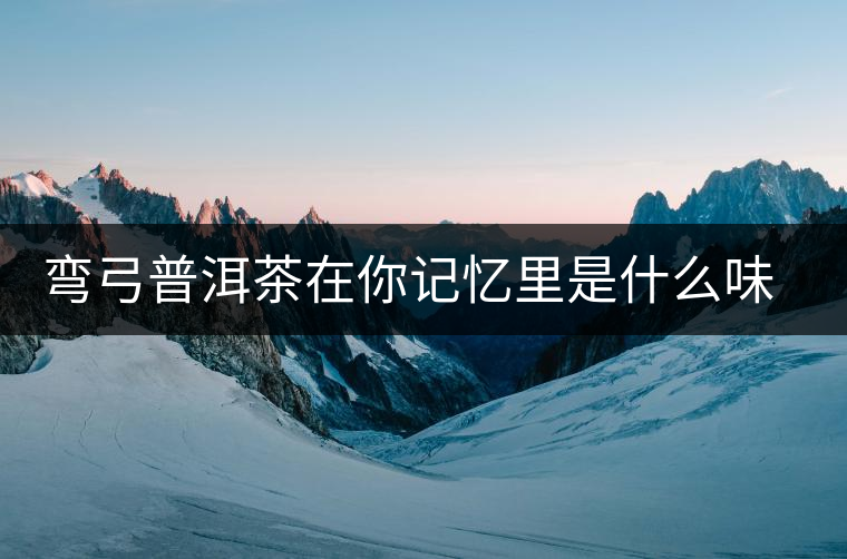 彎弓普洱茶在你記憶里是什么味道？