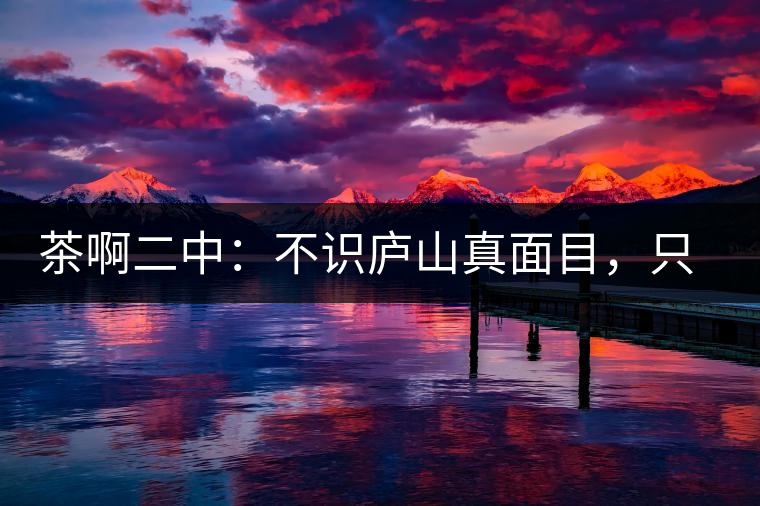 茶啊二中：不識廬山真面目，只識彎弓射大雕，賈淳真搞笑