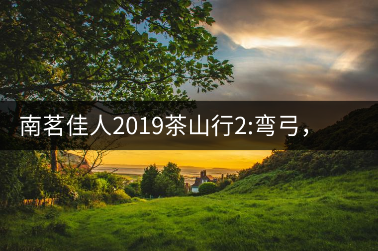 南茗佳人2019茶山行2:彎弓，一路艱辛，只為這有生命...南茗佳人2019茶山行2：彎弓，一路艱辛，只為這有生命厚度的茶！