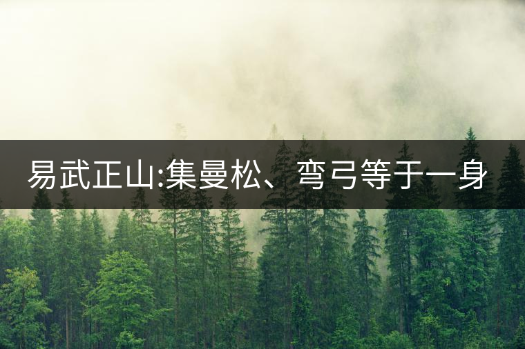 易武正山:集曼松、彎弓等于一身的貴族老黃片，好喝沒得...易武正山：集曼松、彎弓等于一身的貴族老黃片，好喝沒得說