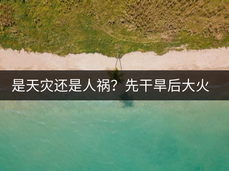 是天災(zāi)還是人禍？先干旱后大火，普洱茶將何去何從？