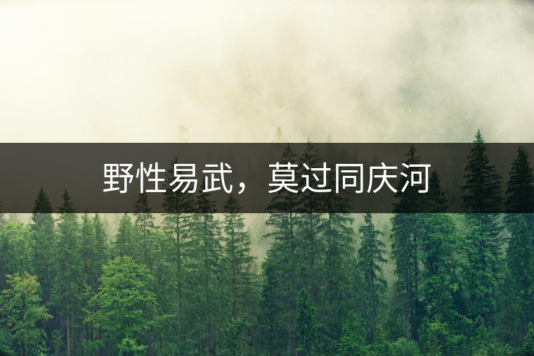 野性易武，莫過同慶河
