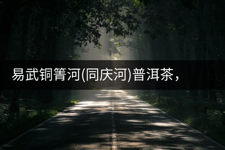 易武銅箐河(同慶河)普洱茶，讓我拜倒的不止它的口感易武銅箐河（同慶河）普洱茶，讓我拜倒的不止它的口感