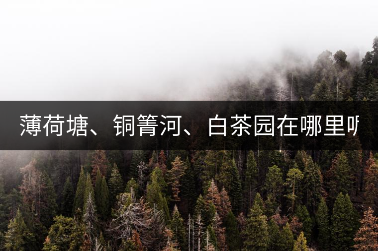 薄荷塘、銅箐河、白茶園在哪里呢?薄荷塘、銅箐河、白茶園在哪里呢？