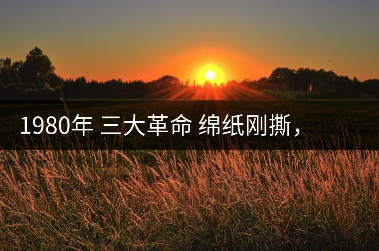1980年 三大革命 綿紙剛撕，品相極好，整體干凈漂亮1980年 三大革命 綿紙剛撕，品相極好，整體干凈漂亮