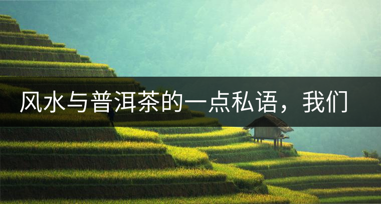 風(fēng)水與普洱茶的一點(diǎn)私語(yǔ)，我們形而上的聊一把