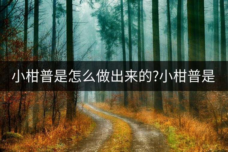 小柑普是怎么做出來的?小柑普是怎么做出來的？