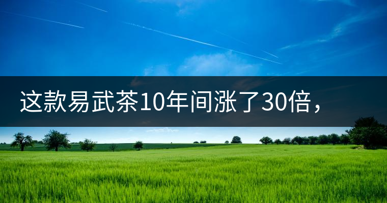 這款易武茶10年間漲了30倍，但已芳蹤罕見(jiàn)
