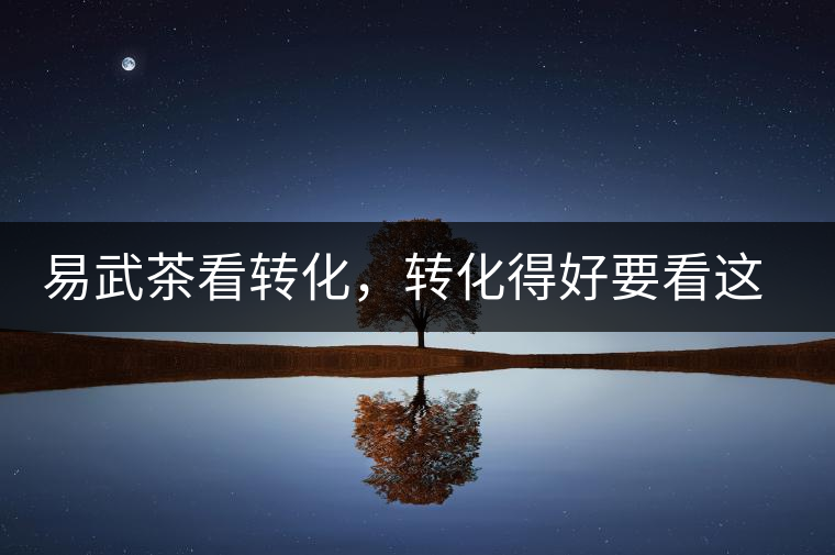 易武茶看轉(zhuǎn)化，轉(zhuǎn)化得好要看這三要素及品牌優(yōu)勢！