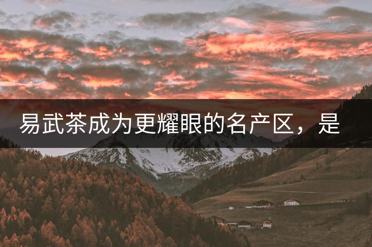 易武茶成為更耀眼的名產(chǎn)區(qū)，是歷史的回歸，是未來(lái)市場(chǎng)的必然導(dǎo)向