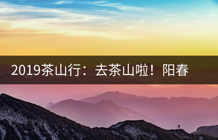 2019茶山行：去茶山啦！陽春三月，和南茗佳人一起上山喝好茶！