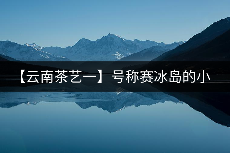 【云南茶藝一】號稱賽冰島的小戶賽憑什么！今天帶大家一起研究下