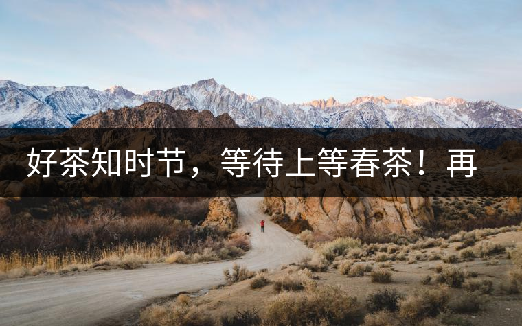 好茶知時(shí)節(jié)，等待上等春茶！再來(lái)回味這些年喝過(guò)的小戶賽古樹(shù)春茶