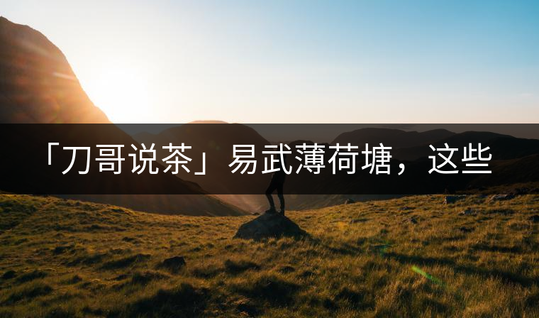 「刀哥說茶」易武薄荷塘，這些冷知識你該知道