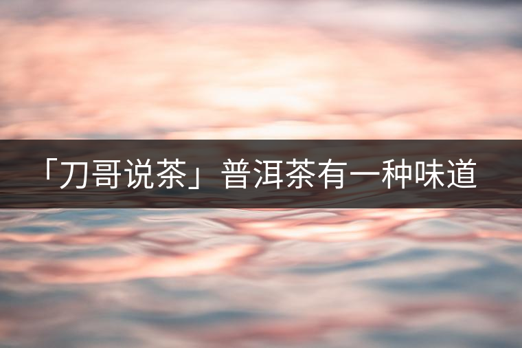 「刀哥說茶」普洱茶有一種味道，只可意會不可言傳