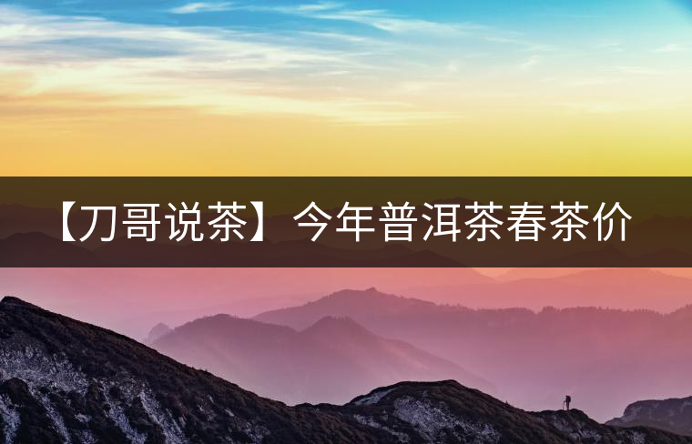 【刀哥說茶】今年普洱茶春茶價格，我不預(yù)測