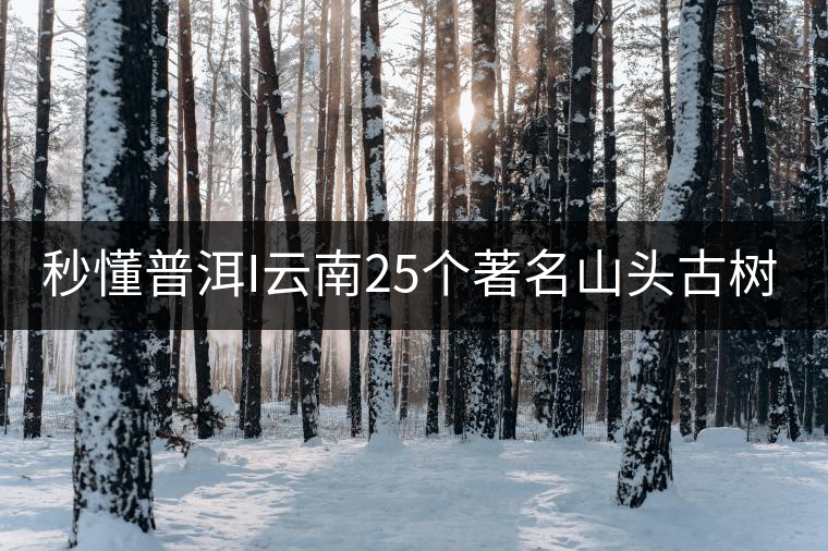 秒懂普洱I云南25個著名山頭古樹普洱茶的特點及口感!(太全了,快收藏!) 秒懂普洱I云南25個著名山頭古樹普洱茶的特點及口感!(太全了,快收藏!)