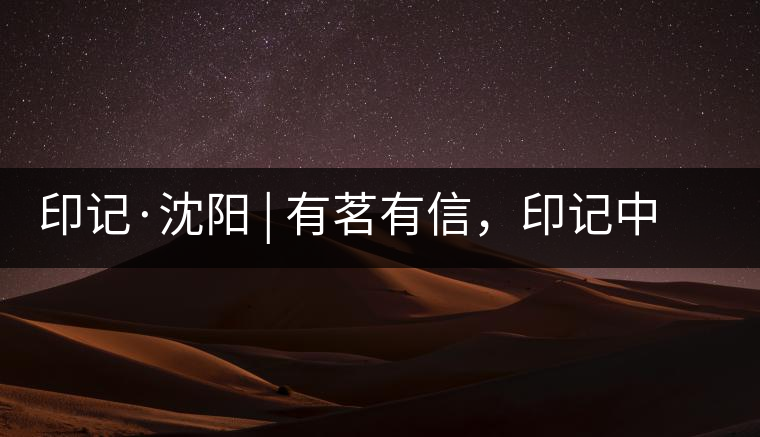 印記·沈陽 | 有茗有信，印記中茶，中茶普洱亮相沈陽茶博會(huì)