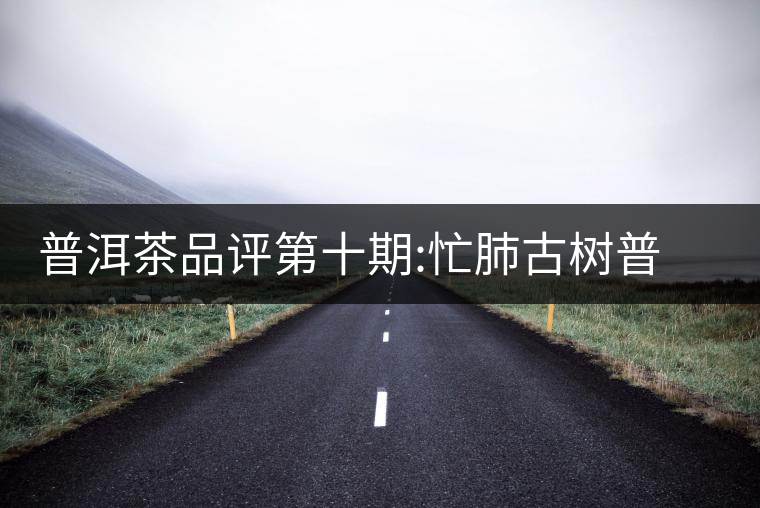 普洱茶品評(píng)第十期:忙肺古樹普洱茶品評(píng)第十期：忙肺古樹