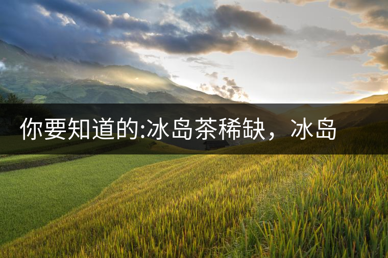 你要知道的:冰島茶稀缺，冰島熟茶更來之不易你要知道的：冰島茶稀缺，冰島熟茶更來之不易