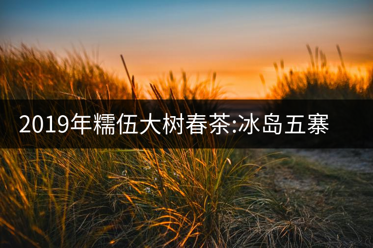 2019年糯伍大樹春茶:冰島五寨甜柔口感的代表，售價不...2019年糯伍大樹春茶：冰島五寨甜柔口感的代表，售價不到500