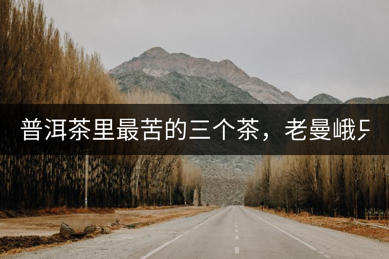 普洱茶里最苦的三個茶，老曼峨只能排第三！