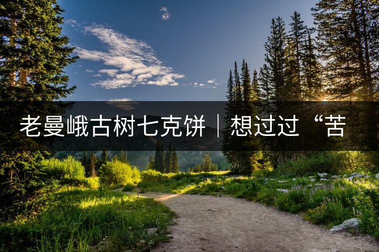 老曼峨古樹(shù)七克餅｜想過(guò)過(guò)“苦癮”？不如試試這款七克餅