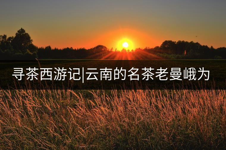 尋茶西游記|云南的名茶老曼峨為什么這么多人愛，這里...尋茶西游記｜云南的名茶老曼峨為什么這么多人愛，這里給你答案！