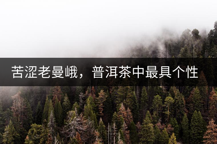 苦澀老曼峨，普洱茶中最具個性的“布朗味”苦澀老曼峨，普洱茶中最具個性的“布朗味”