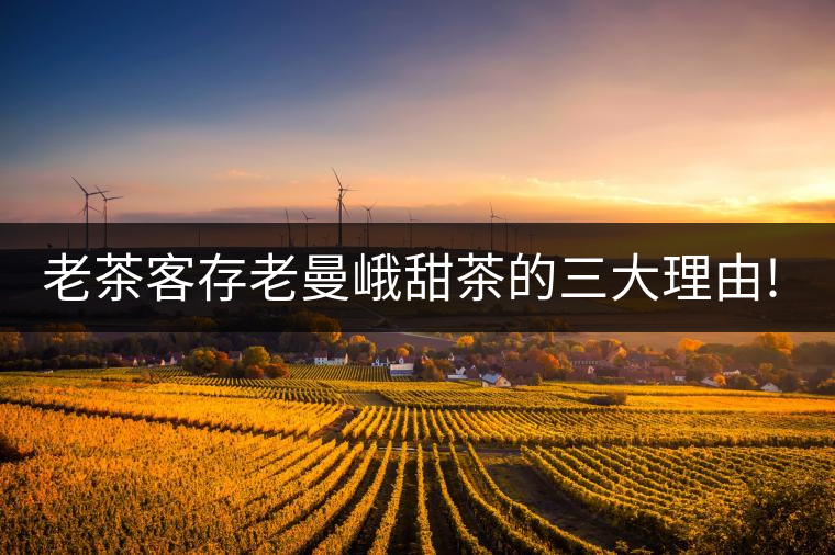老茶客存老曼峨甜茶的三大理由!老茶客存老曼峨甜茶的三大理由！