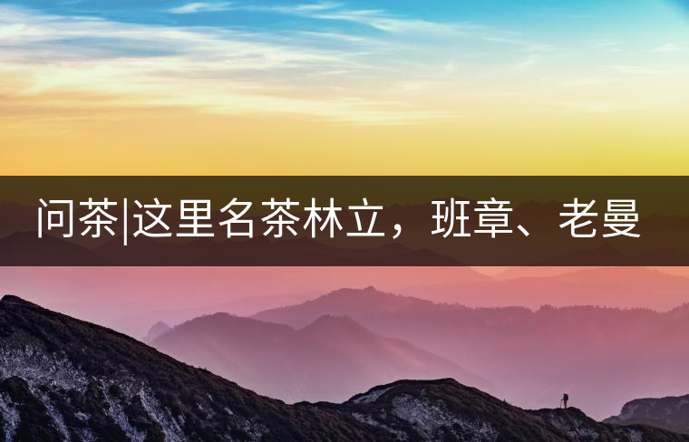 問茶|這里名茶林立，班章、老曼峨皆在其列!問茶｜這里名茶林立，班章、老曼峨皆在其列！