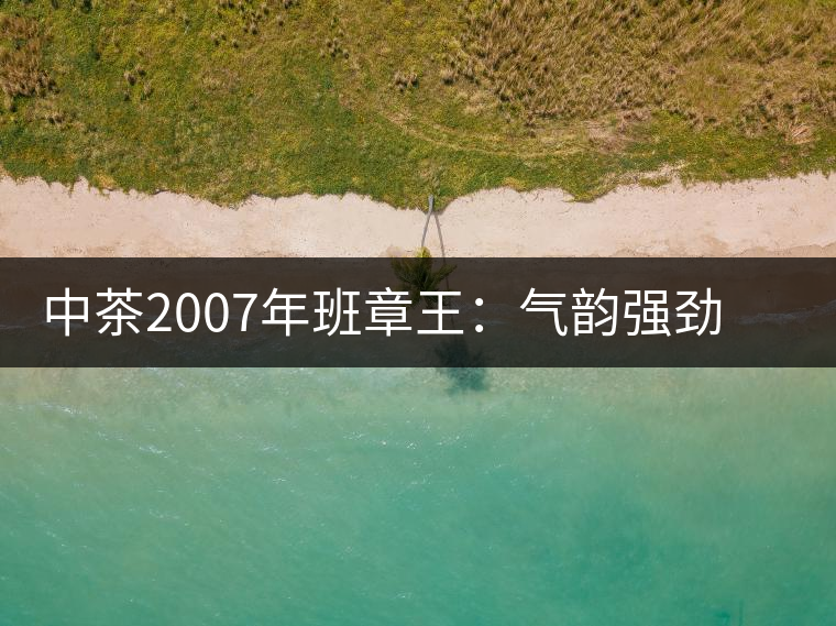 中茶2007年班章王：氣韻強(qiáng)勁，蜂蜜水般甜潤(rùn)，一直被老茶客撿漏