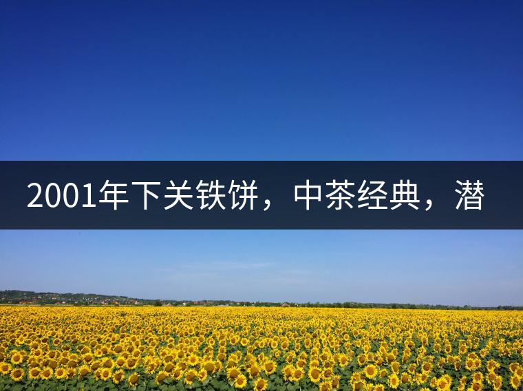 2001年下關(guān)鐵餅，中茶經(jīng)典，潛力可期!