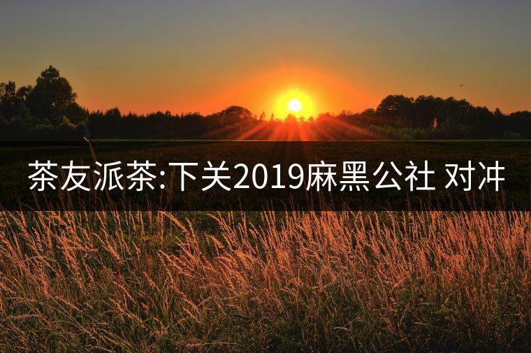 茶友派茶:下關2019麻黑公社 對沖 中茶2019易武豬茶友派茶：下關2019麻黑公社 對沖 中茶2019易武豬